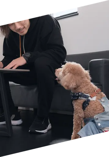 Image of the CEO talking to their pet dog